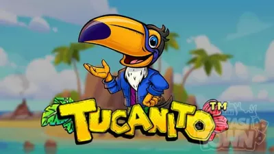 Tucanito(투카니트)